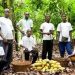 Mahama introduces tertiary education scholarship for children of cocoa farmers