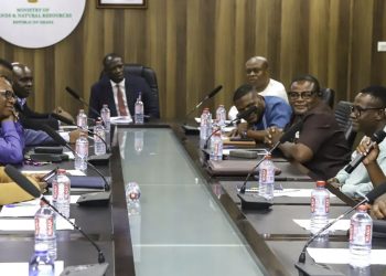 Lands minister launches audit committee to review large-scale mining licenses