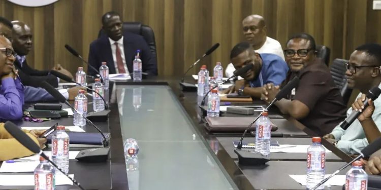 Lands minister launches audit committee to review large-scale mining licenses