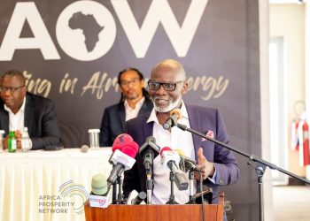 APN sues Africa Oil Week for lying about President Mahama to cancel agreement with APN