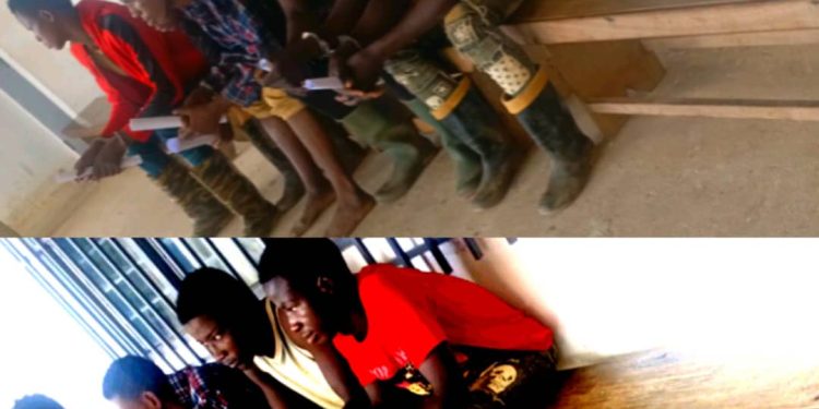 Five Nigeriens arrested for illegal mining in Atewa Forest