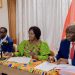 Vice President Opoku-Agyemang engages Ghanaian community in Belgium, reaffirms commitment to development and environmental protection