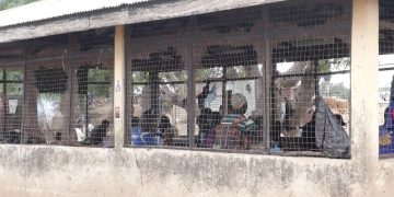 Buipela butchers urge authorities to renovate dilapidated abattoir amid health concerns