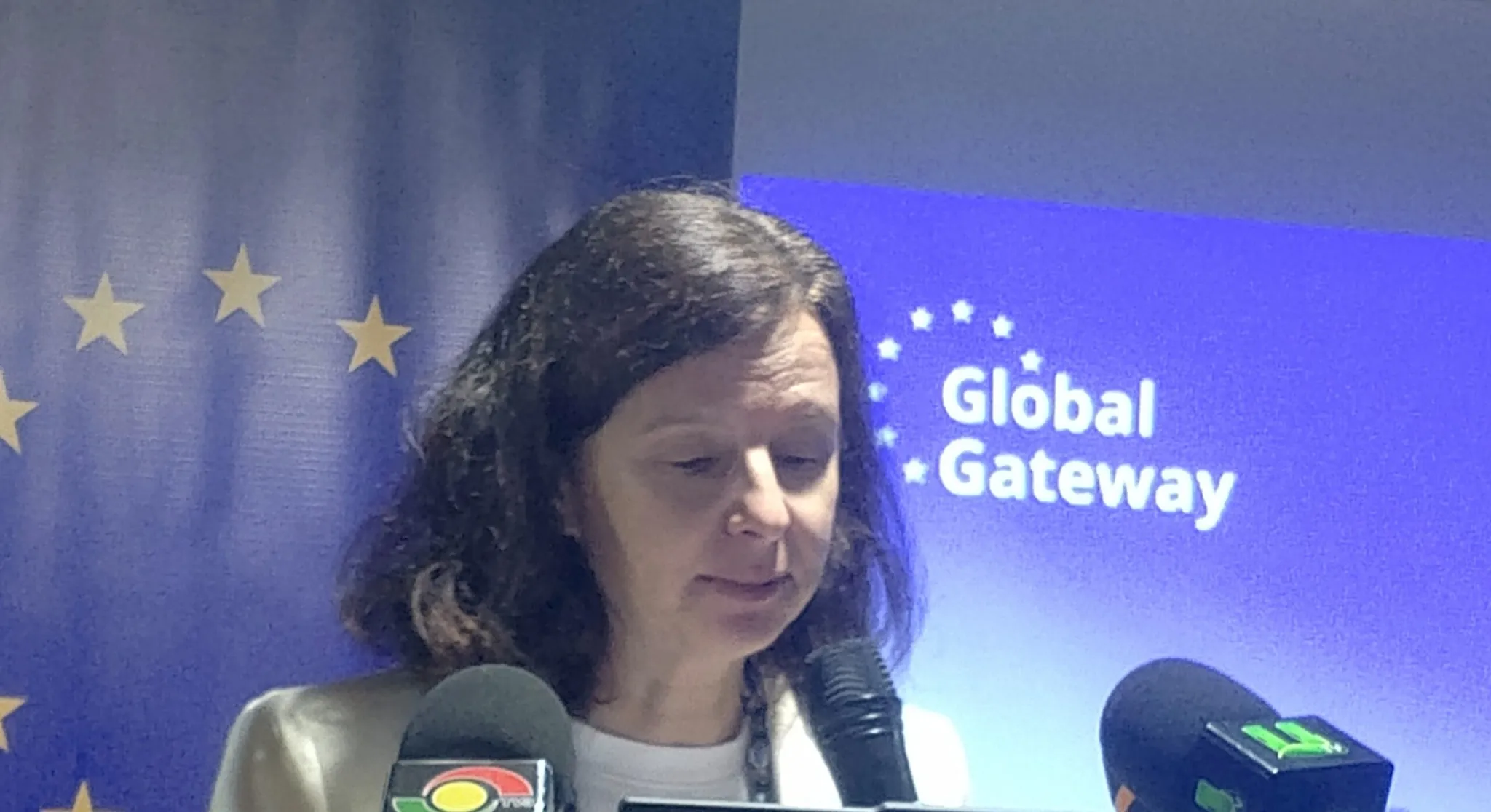 EU unveils €2.4m project to restore Ghana’s degraded forests