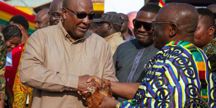 ‘NPP may kill birds to sabotage Nkoko Nkitinkiti’- Minister warns