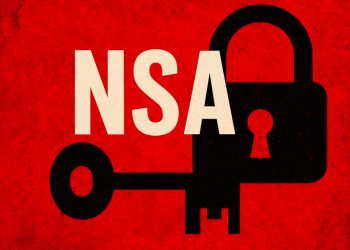 NSA: From 2018-2024, 935k were posted but 733k through back door, says Auditor-General’s Forensic Audit