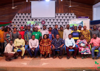 Bono Cashew farmers renew calls for stable pricing amid market distortions