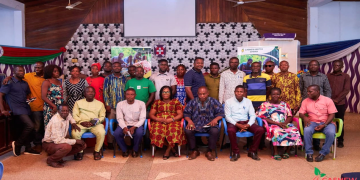 Bono Cashew farmers renew calls for stable pricing amid market distortions