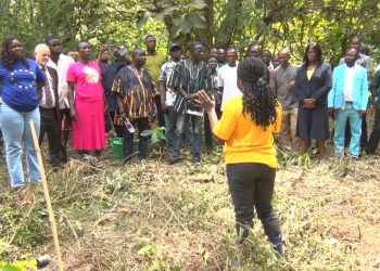 Foresters raise alarm over rising forest degradation, illegal mining at 2025 AGM