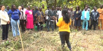 Foresters raise alarm over rising forest degradation, illegal mining at 2025 AGM