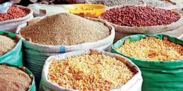 Cereal Imports Hurting Farmers – Farmer Organizations Network in Ghana Calls for Immediate Reforms