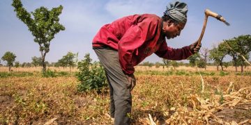 GLOMeF Urges Stronger Support Systems for Farmers as Ghana Marks 41st Farmers Day