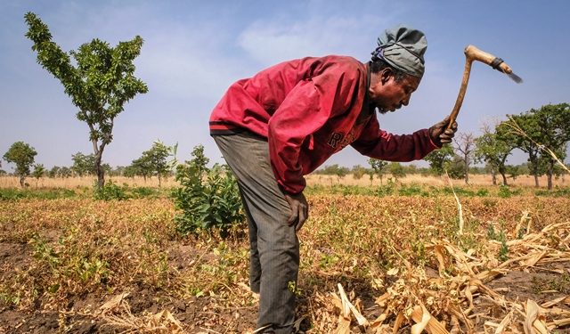 GLOMeF Urges Stronger Support Systems for Farmers as Ghana Marks 41st Farmers Day