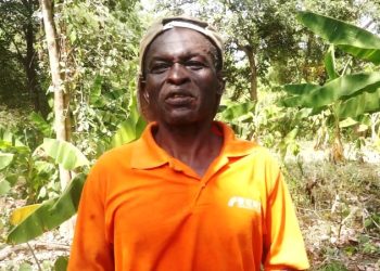 How One Farmer Is Redefining Cocoa Cultivation in Northern Ghana