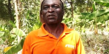 How One Farmer Is Redefining Cocoa Cultivation in Northern Ghana