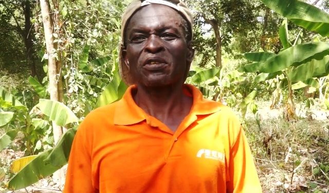 How One Farmer Is Redefining Cocoa Cultivation in Northern Ghana