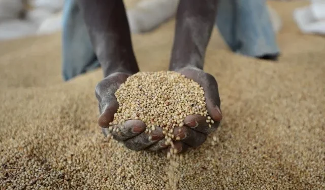 AGRA report reveals 8 million Ghanaians face food crisis despite harvest surge