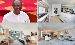 Details of how ICE whisked Ofori-Atta from his US luxurious residence into detention