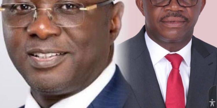 Fact Check: Comparing the academic and political profiles of Dr. Stephen Amoah and Dr. Mohammed Amin Adam