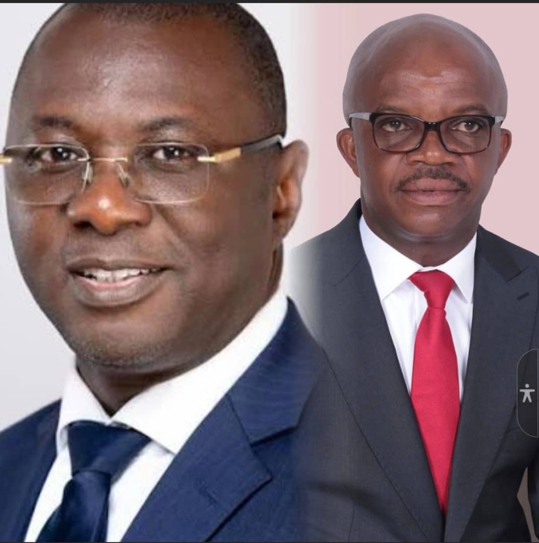 Fact Check: Comparing the academic and political profiles of Dr. Stephen Amoah and Dr. Mohammed Amin Adam