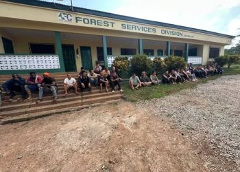 Court grants bail to 31 suspects in Apamprama Forest Reserve galamsey case