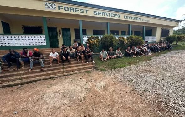 Court grants bail to 31 suspects in Apamprama Forest Reserve galamsey case