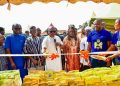 Upper West Regional Minister Opens US$2m KEDAN Maize Factory in Tumu