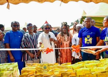 Upper West Regional Minister Opens US$2m KEDAN Maize Factory in Tumu