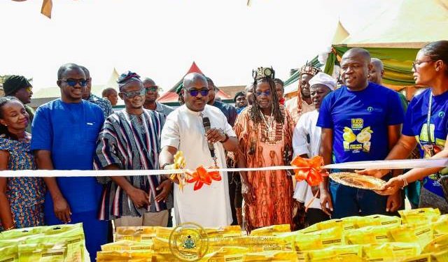 Upper West Regional Minister Opens US$2m KEDAN Maize Factory in Tumu