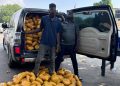 Tema Police intercept over 1,600 parcels of suspected narcotic drugs