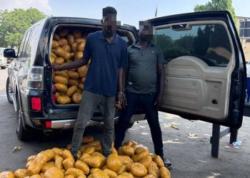 Tema Police intercept over 1,600 parcels of suspected narcotic drugs