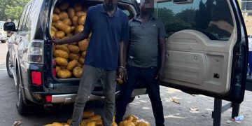 Tema Police intercept over 1,600 parcels of suspected narcotic drugs