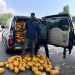 Tema Police intercept over 1,600 parcels of suspected narcotic drugs