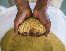 WFP expands Fortified Rice Programme in Ghanaian schools to boost nutrition and learning