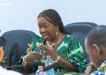 Trade Minister on how Ghanaians are acting as enablers for foreigners illegally operating in retail sector in violation of GIPC Act