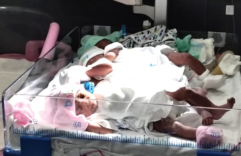 Surrogate mother delivers quadruplets – Rare in assisted reproductive technology