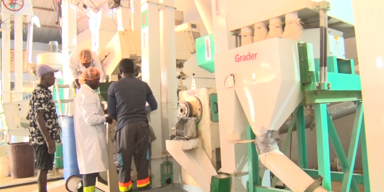 WFP advances fortified rice in Ghana’s schools, boosting nutrition and local production