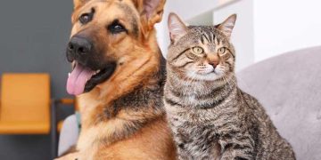 Dog Meat Eaters Association rejects health and ethical concerns