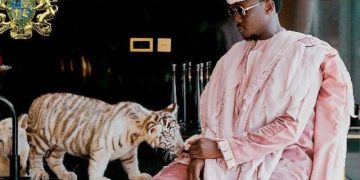 Forestry Commission sues Cheddar over illegal imports of tigers, seeks possession of them