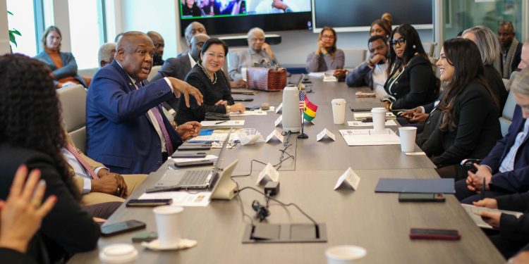 Ghana courts U.S. investors at Los Angeles roundtable