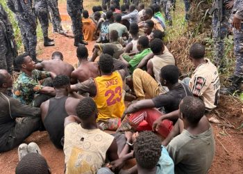17 Burkinabes, 21 Ghanaian illegal miners arrested in palm plantation at Akyem Ntoranang