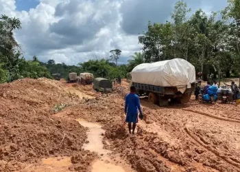 Cocoa road contracts cause of COCOBOD’s financial strain — Minister