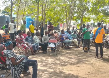 Bono East farmers urge gov’t action over falling maize and bean prices