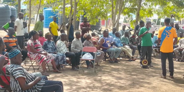 Bono East farmers urge gov’t action over falling maize and bean prices