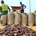 Mahama calls emergency Cabinet session over cocoa sector crisis