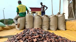 Mahama calls emergency Cabinet session over cocoa sector crisis