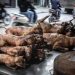 NGO calls for ban on Cat and Dog meat to protect public health and animal welfare