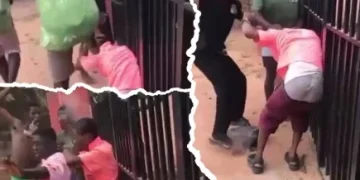 Education Ministry orders probe into viral school violence videos