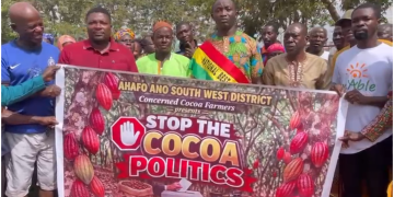 Cocoa price cut reflects global market pressures, not government policy failure – Ahafo Ano South West farmers