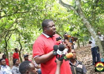 Bawumia will prioritize Farmers’ welfare — Ejisu MP